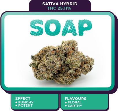 Soap cannabis strain