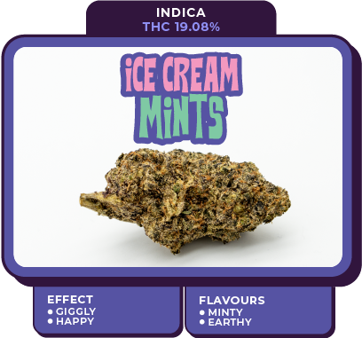 ice cream mints cannabis