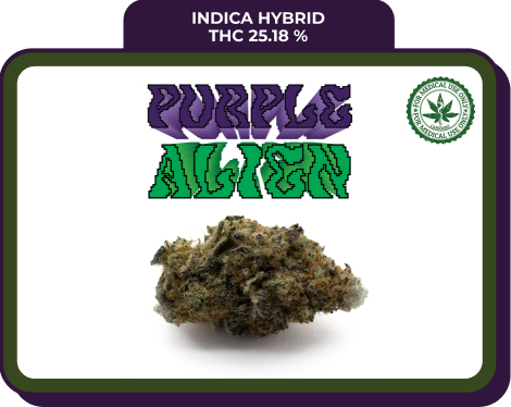 Purple Alien