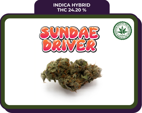 Sundae Driver