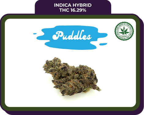 Puddles