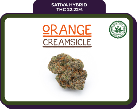 Orange Creamsicle