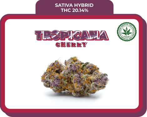 tropicana cherry