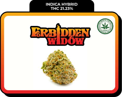 Forbidden Widow