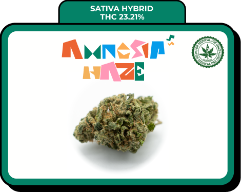 Amnesia Haze