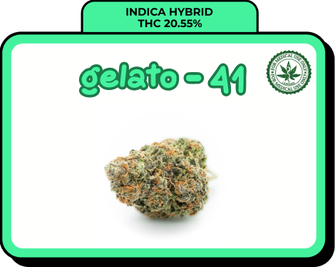 gelato 41