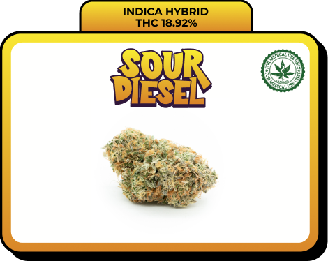 OG Sour Diesel