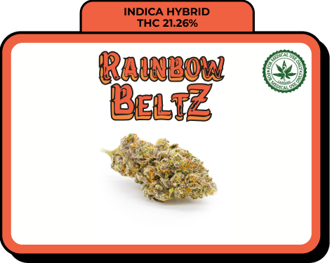 rainbow beltz