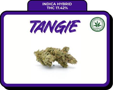 Tangie