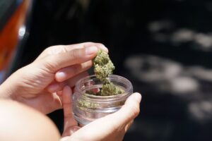 medical marijuana in Phuket