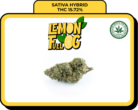 Lemon Fuel OG