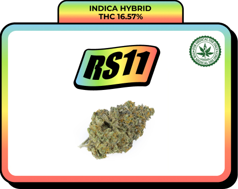 RS11