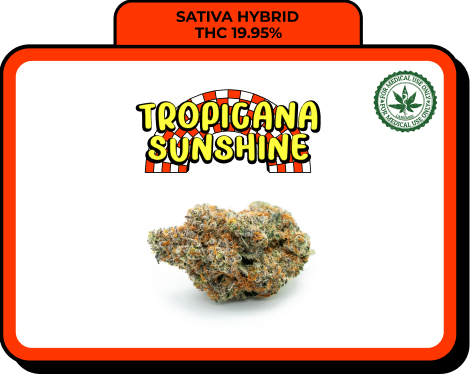 Tropicana Sunshine