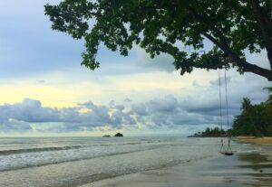 Phuket weed travel tips in 2024