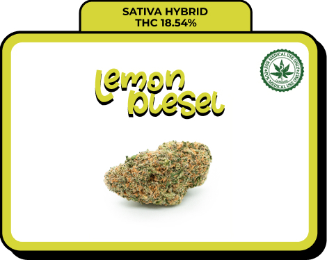 Lemon Diesel