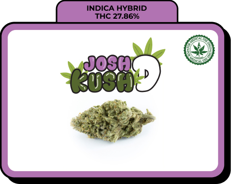 Josh D Kush