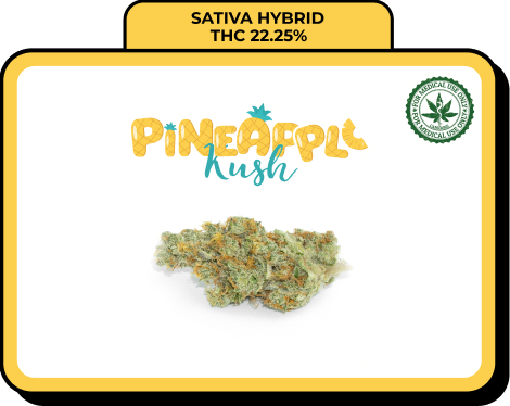 Pineapple Kush