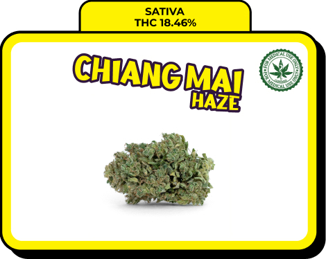 Chiang Mai Haze
