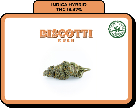 biscotti kush