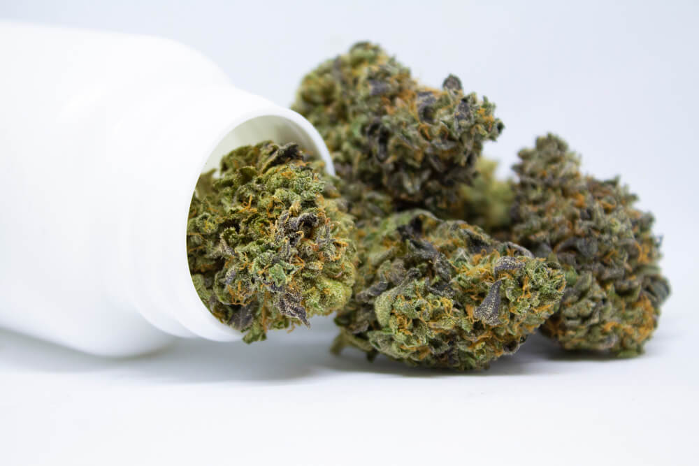 Best Cannabis Strains in Phuket in 2025