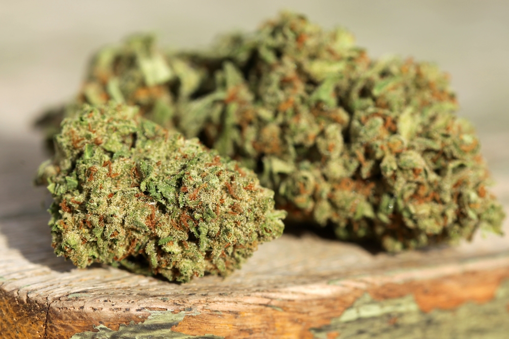 Phuket Cannabis Sales 